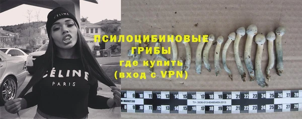 эйфоретик Аркадак