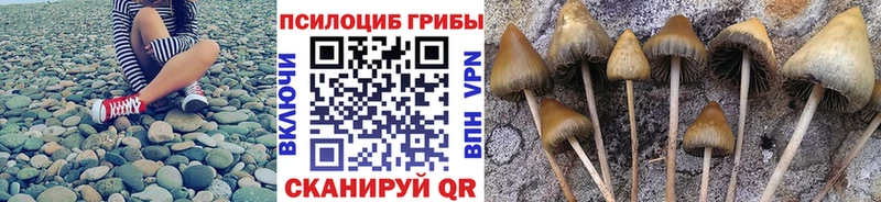 Псилоцибиновые грибы Magic Shrooms  закладки  omg зеркало  Похвистнево 